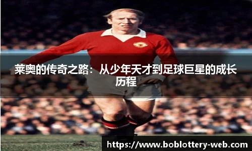 bob真人